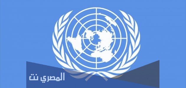 مما تتكون هيئة الأمم المتحدة