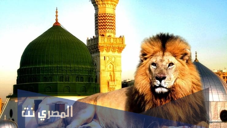 لماذا تدخل الاسود المسجد النبوي اخر الزمان