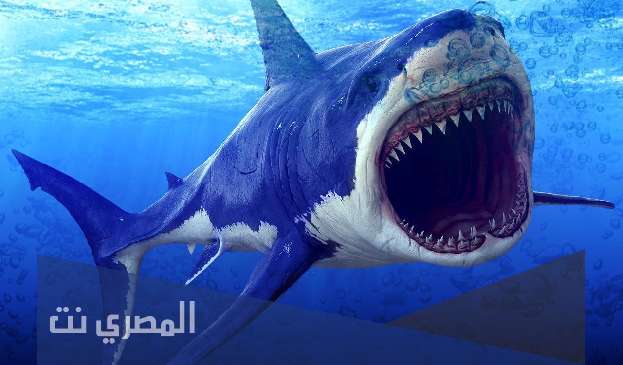 من هو النبي الذي ابتلعه الحوت