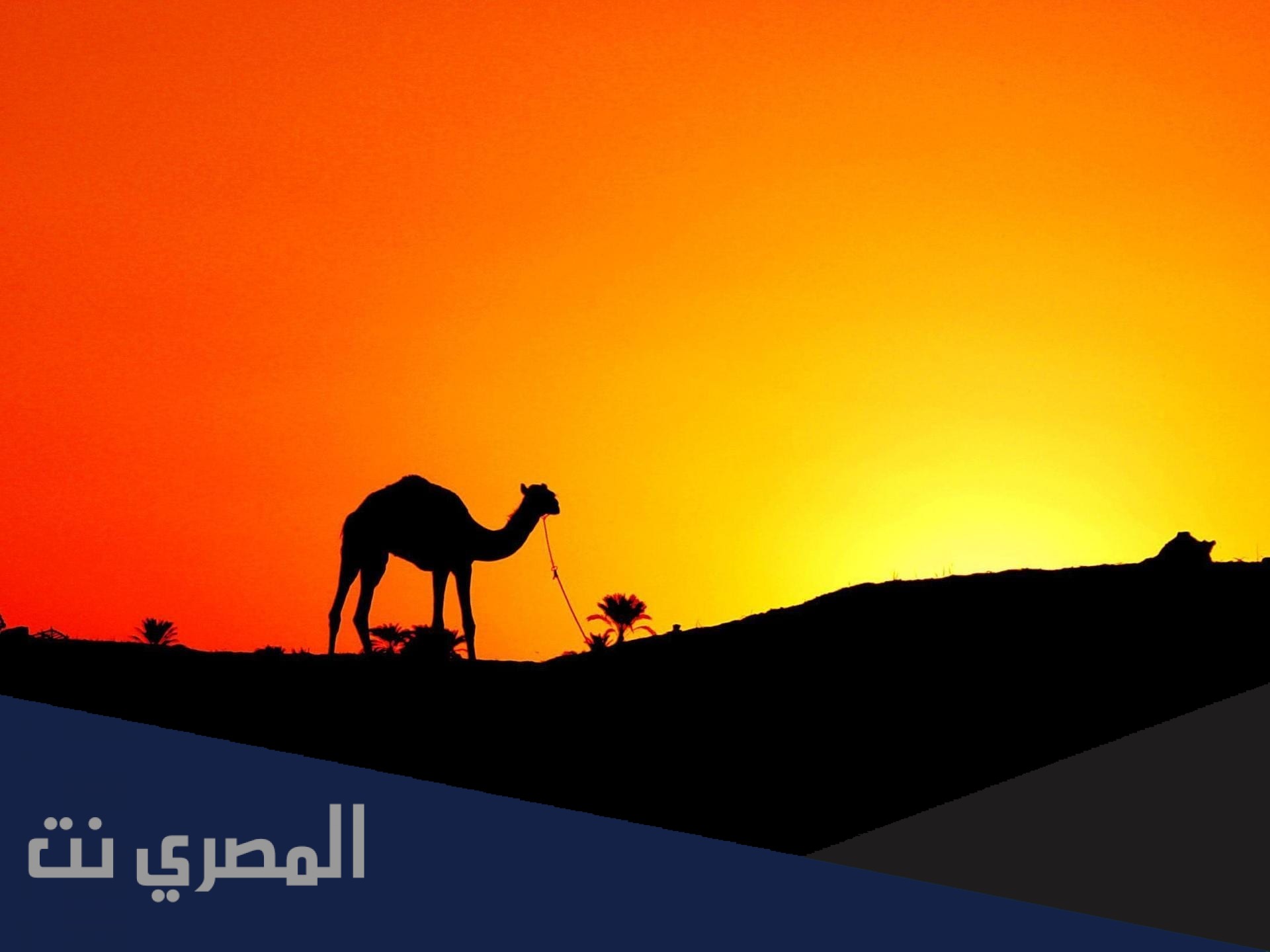 من هو اول مولود بعد الهجرة