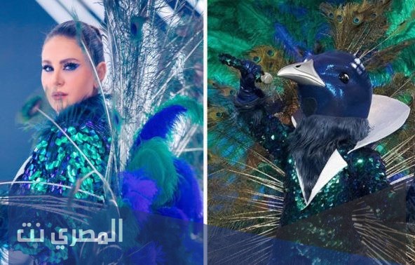 من هو شخصية الطاووس في برنامج انت مين