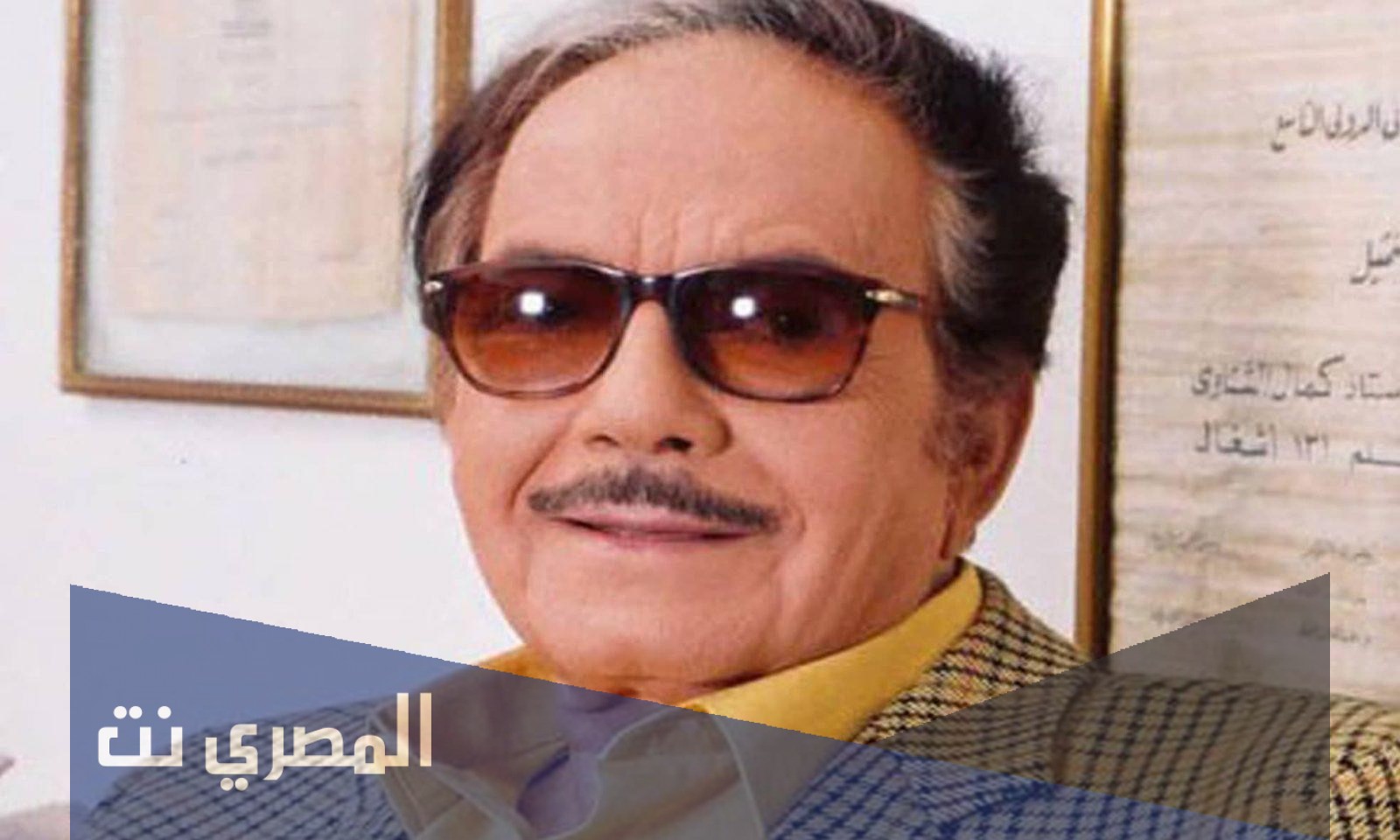من هو كمال الشناوي ويكيبيديا