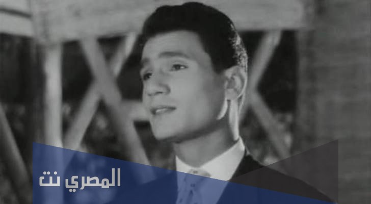 من هي جيهان العلايلي ويكيبيديا