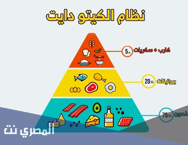 نظام الكيتو جدول كيتو دايت pdf لمدة شهر ولمدة أسبوع
