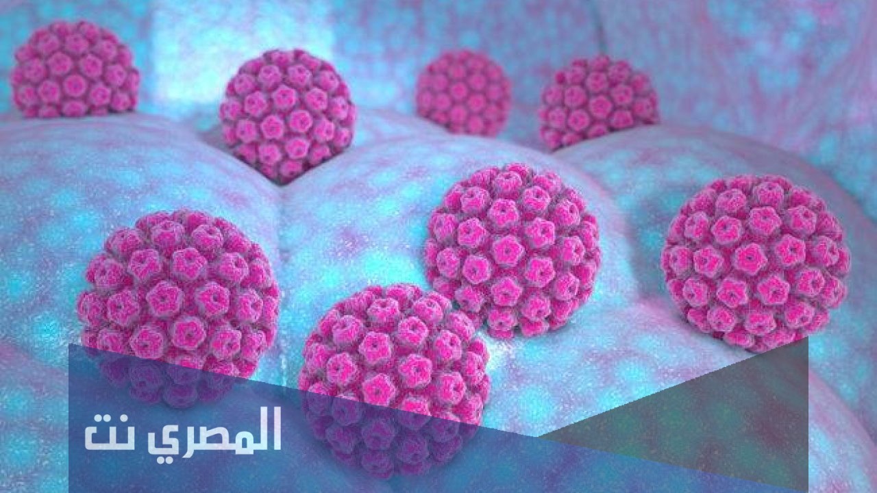 هل يمكن الشفاء من فيروس hpv؟