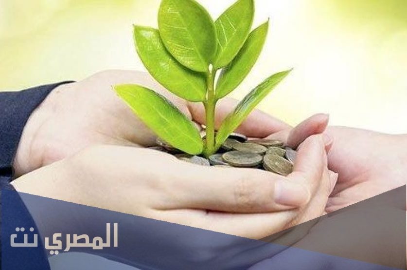 حكم المحبة والتعاون بين المسلمين
