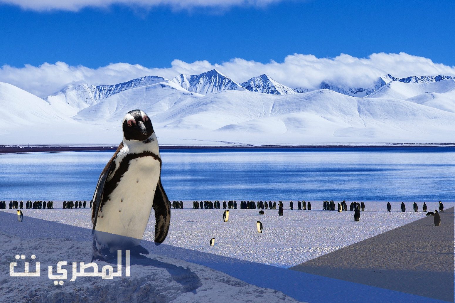 أنتاركتيكا اين تقع