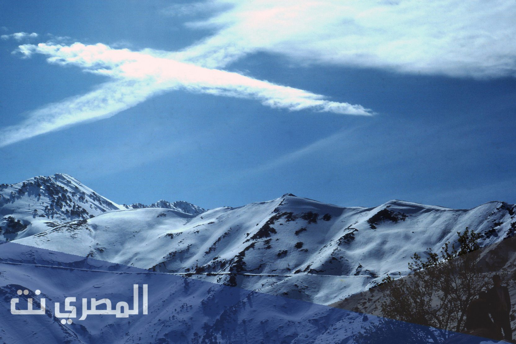 ما هو أكثر الأقاليم الجزائرية كثافة سكانية