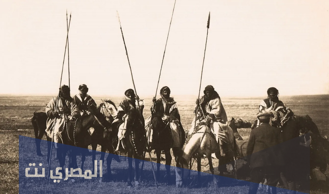 الشلوي وش يرجع