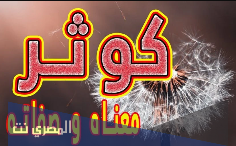 تعرف على معنى اسم كوثر