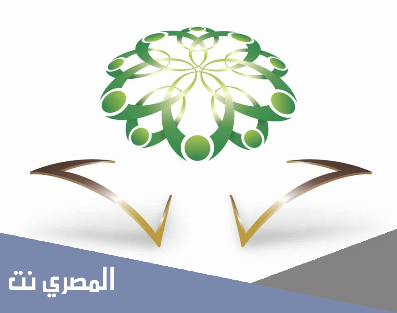 كيف اعرف نقاطي في جدارة