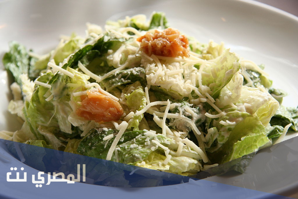 ما هي اول بلد قدمت سلطه السيزر