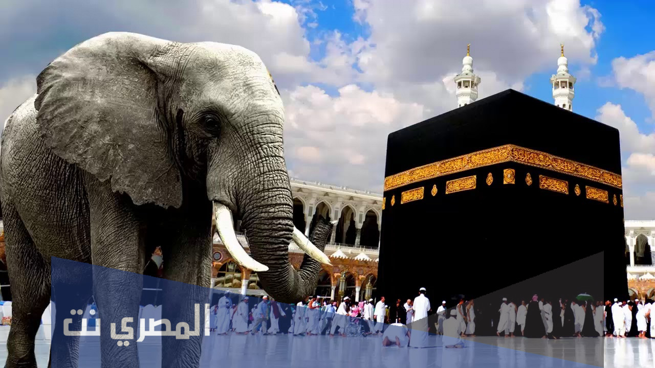 قصة ابرهه الحبشي هدم الكعبه للاطفال