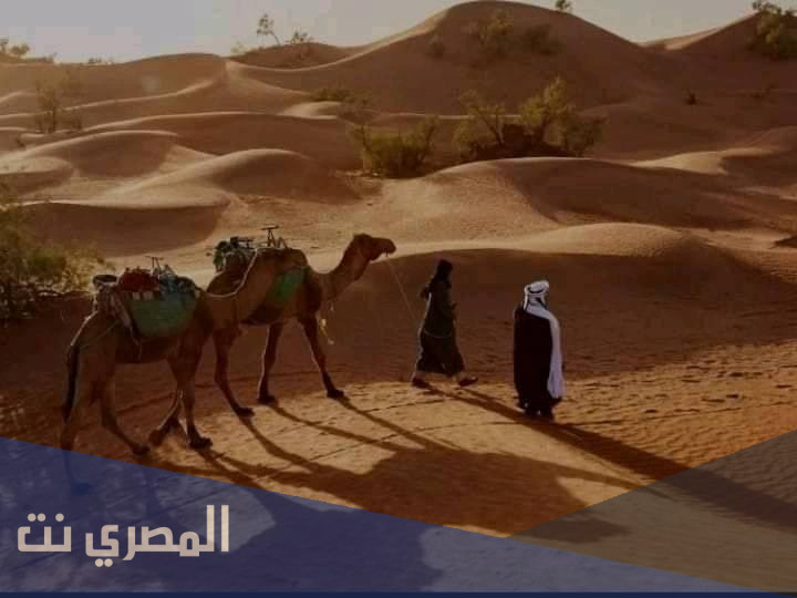 القثامي وش يرجع