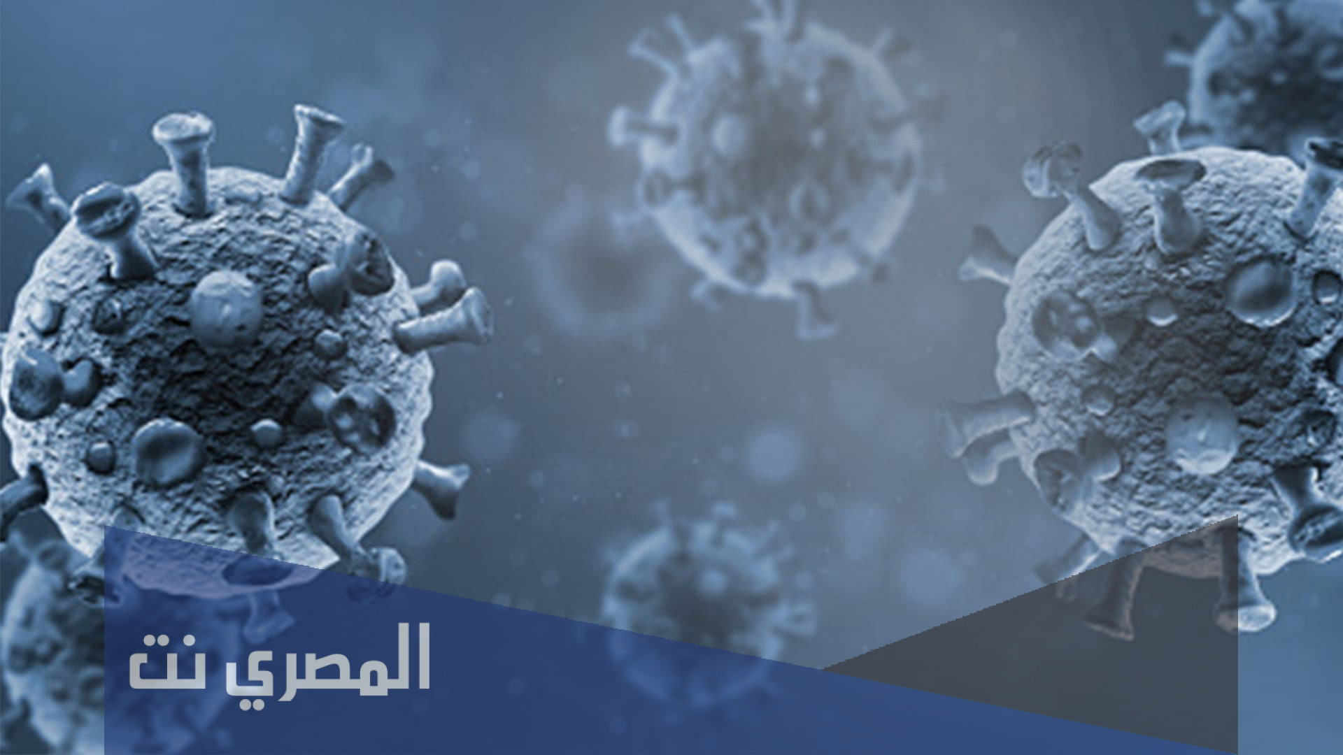 هل تستطيع الفيروسات ان تعيش في اقسى الظروف البيئيه