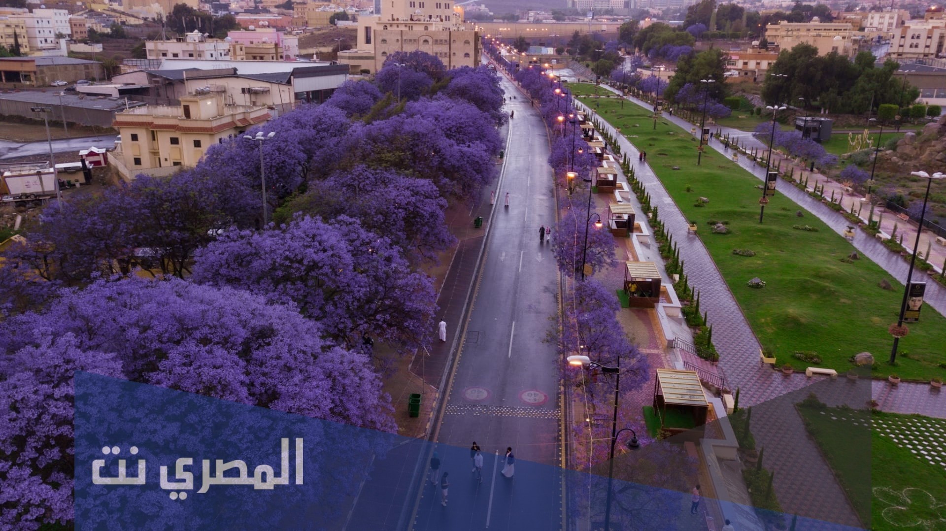 كم عدد سكان أبها 2021