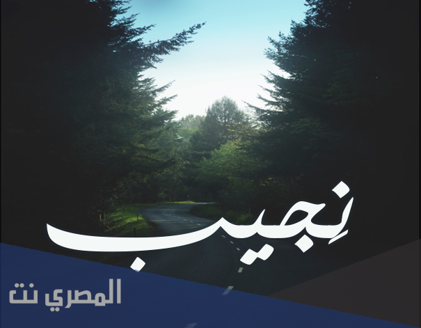 ما هو معنى اسم نجيب وصفات من يحمله