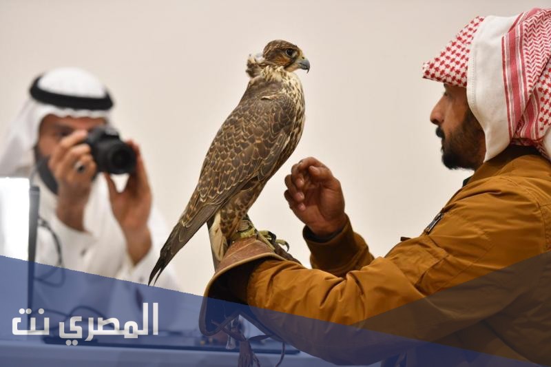الملك عبدالعزيز للصقور