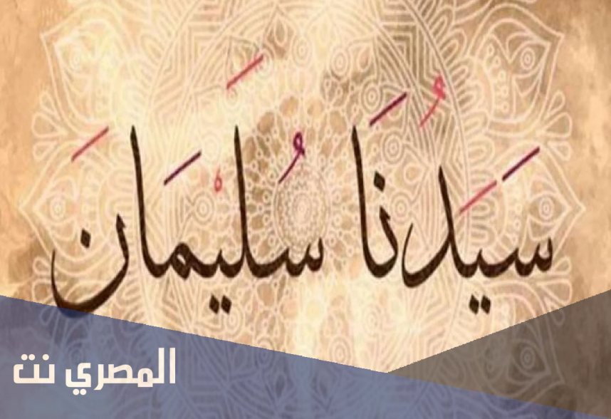 بحث عن سيدنا سليمان عليه السلام بالعناصر الرئيسية