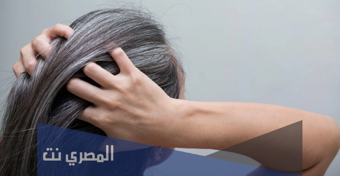 تفسير رؤية الشعر الابيض لابن سيرين