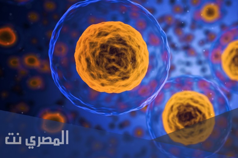 ما هي وحده بناء المخلوق الحي