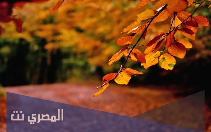 شهر ايلول اي شهر
