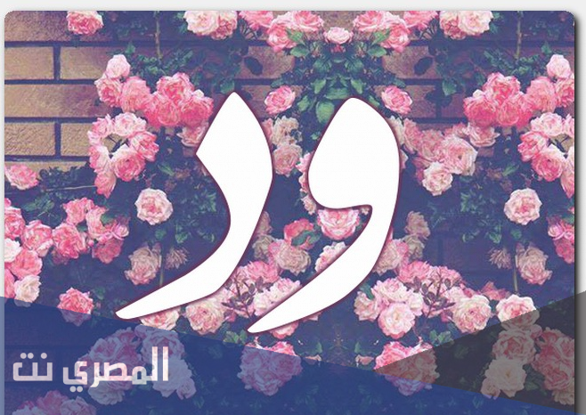 معنى اسم ود بالتفصيل