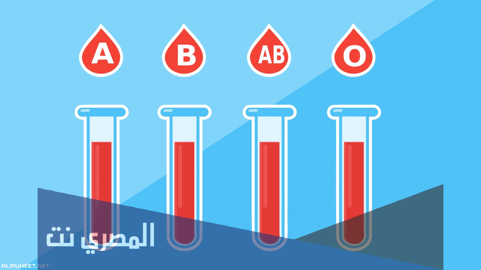 فصائل الدم تعد مستقبل عام