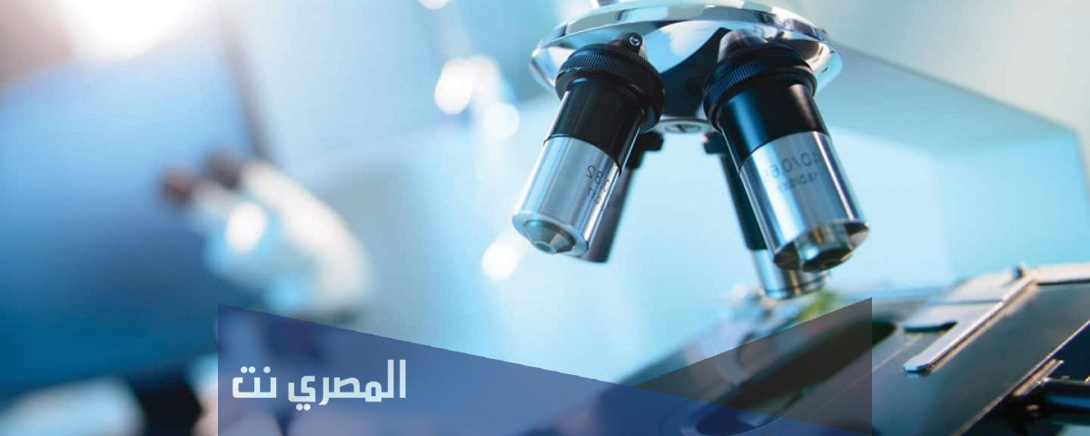اول ما شاهده ليفنهوك تحت المجهر