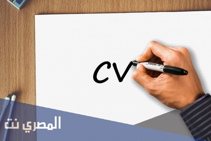 السيرة الذاتية الورقية والالكترونية