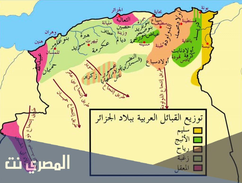 العوهلي من وين