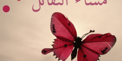 أجمل كلام عن مساء الخير 2025
