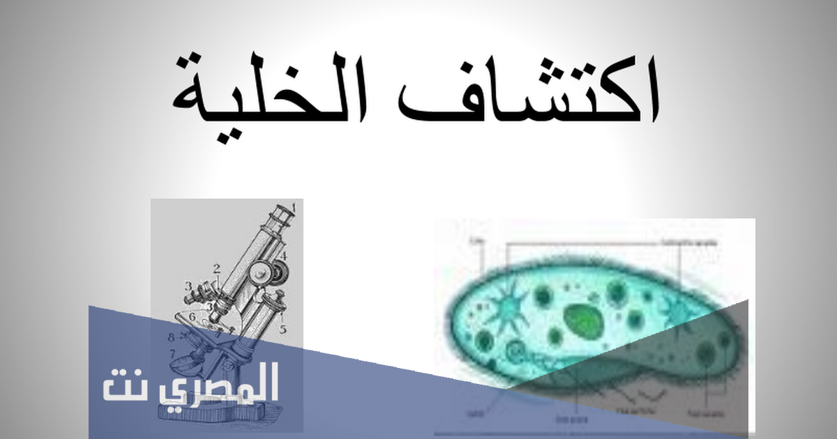 أول من شاهد الخلية هو العالم