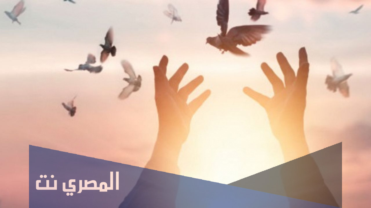 أين تذهب أرواح المؤمنين بعد الموت