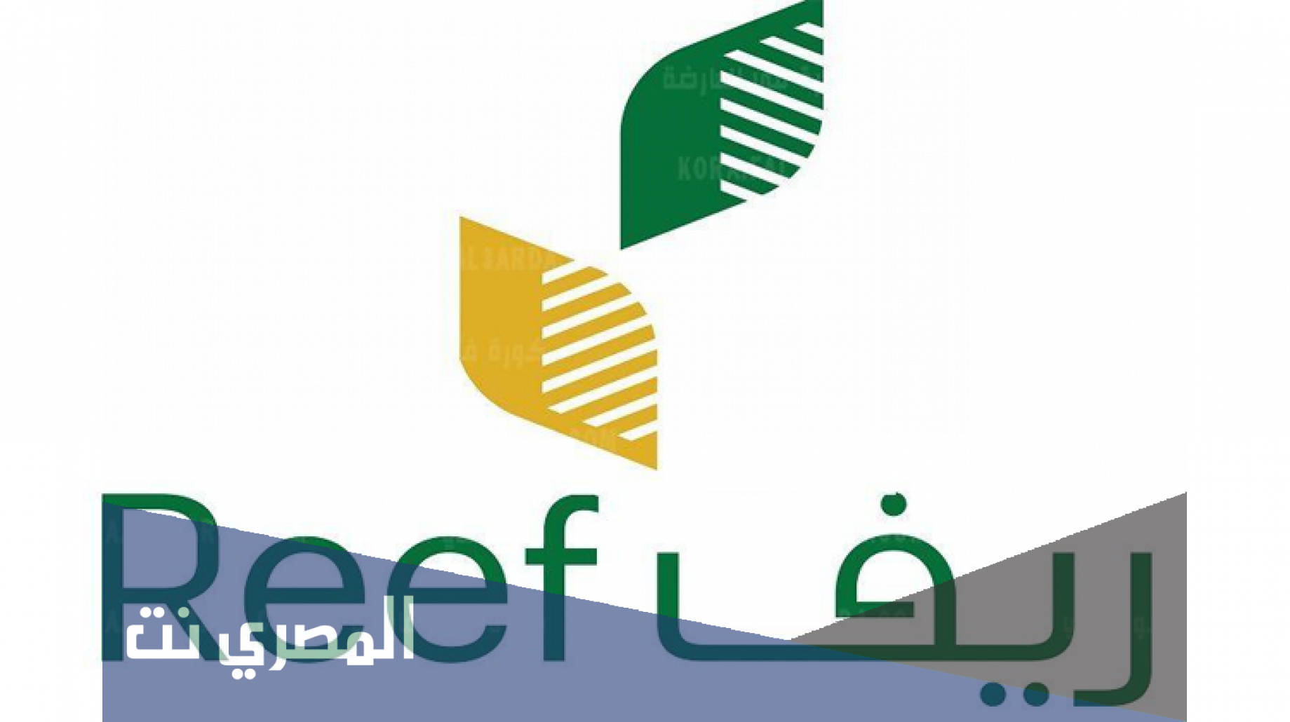 استعلام عن دعم ريف برقم الهوية 1443