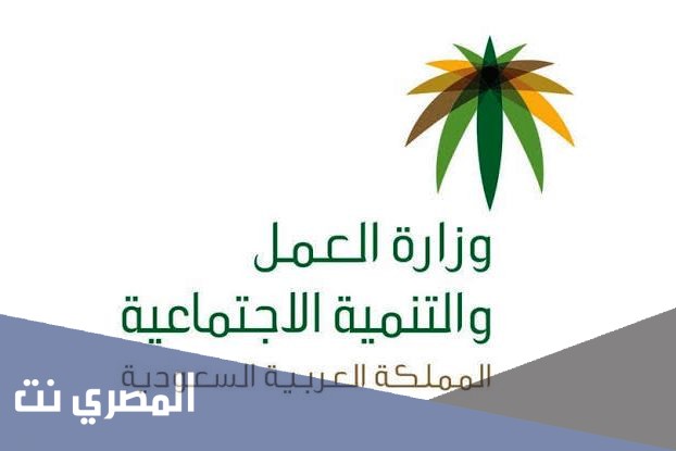استعلام عن صلاحية الإقامة بدون الدخول لأبشر