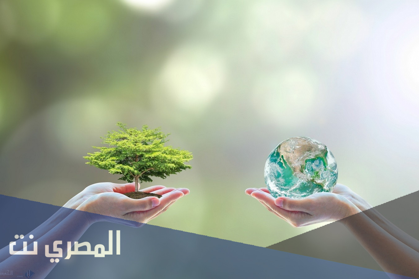 افكار للمحافظة على بيئة وطني