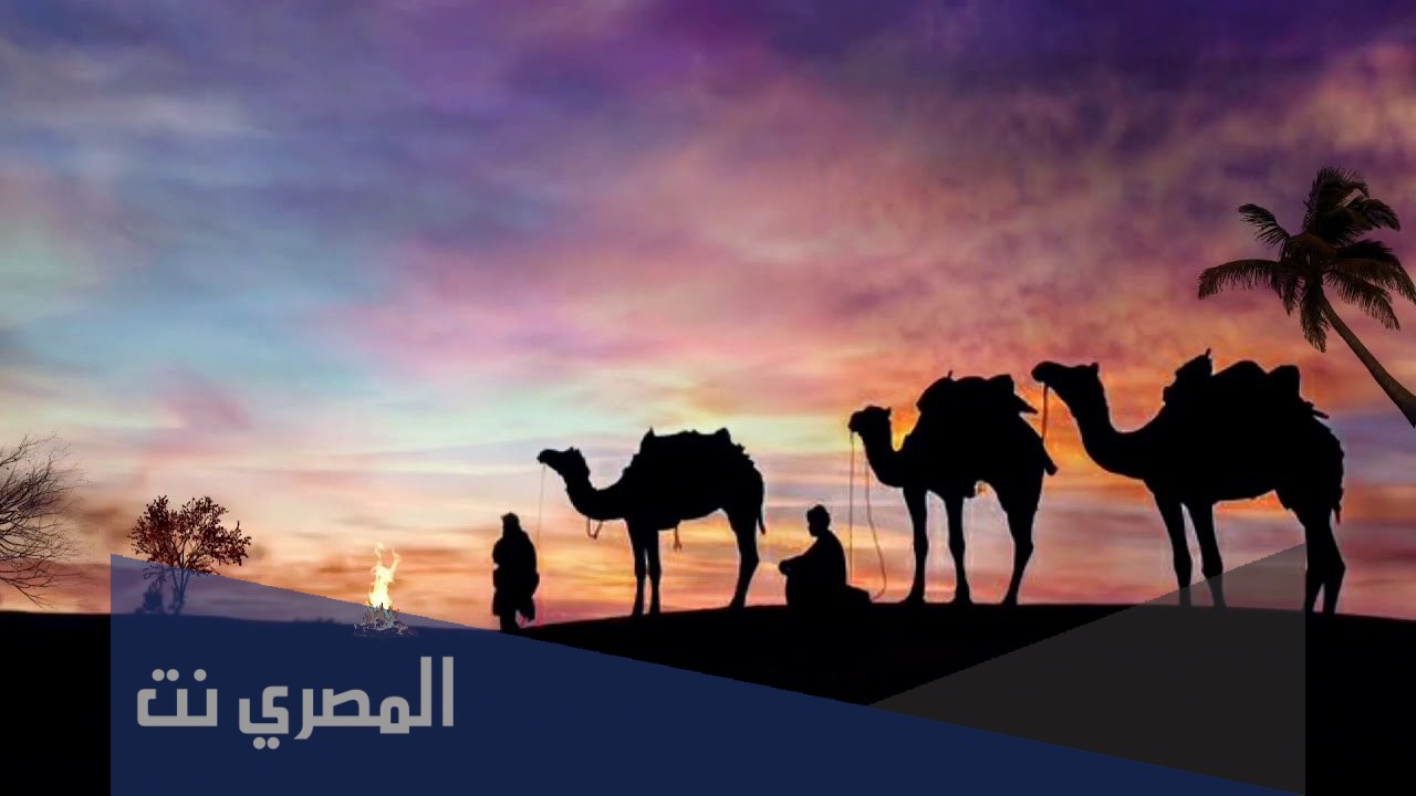 أقوى قبيلة في السعودية