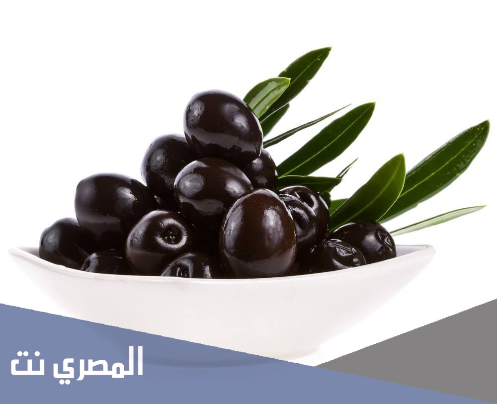 اكبر غابة زيتون في العالم