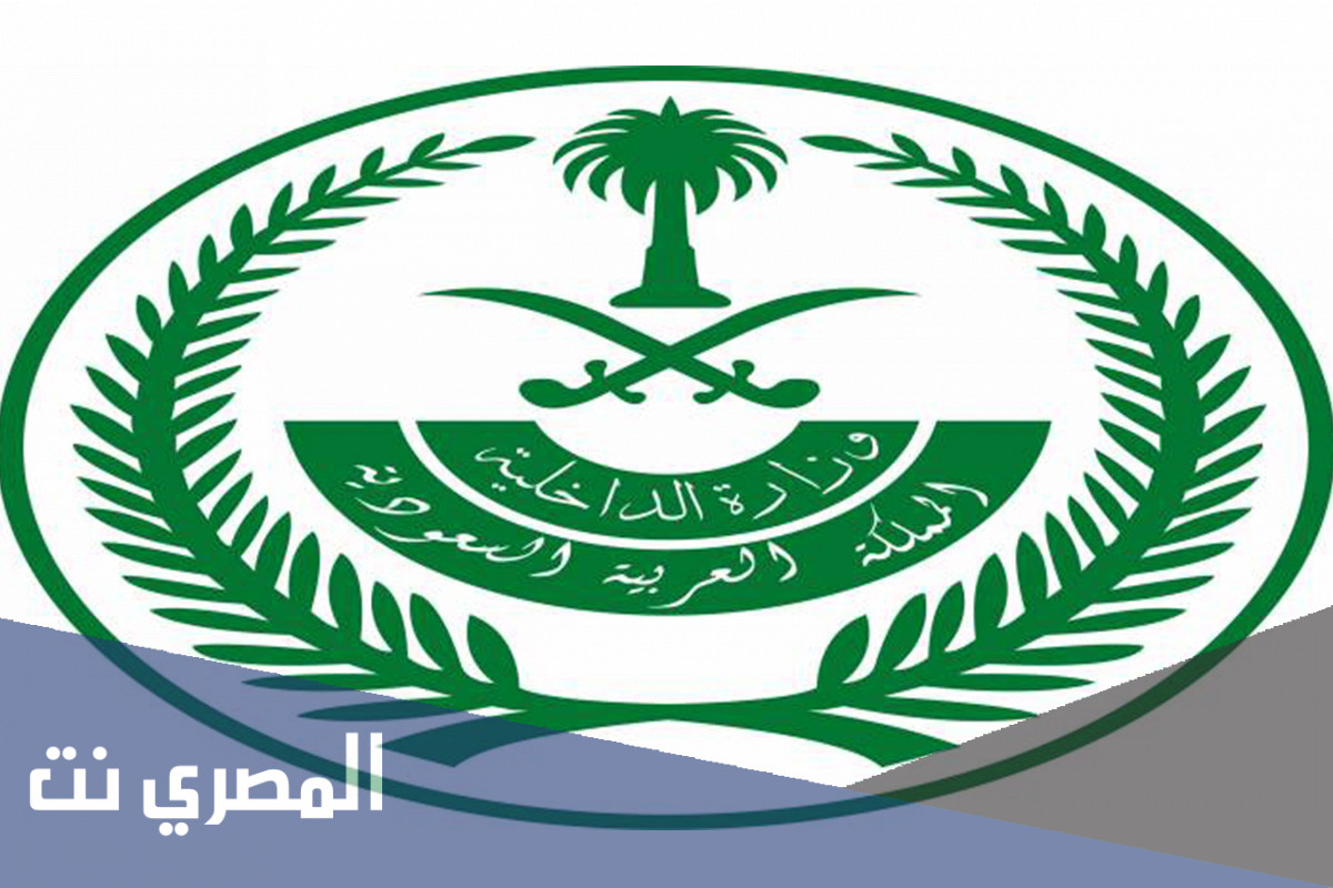 الخدمات الالكترونية عرض بيانات الرقم الصادر