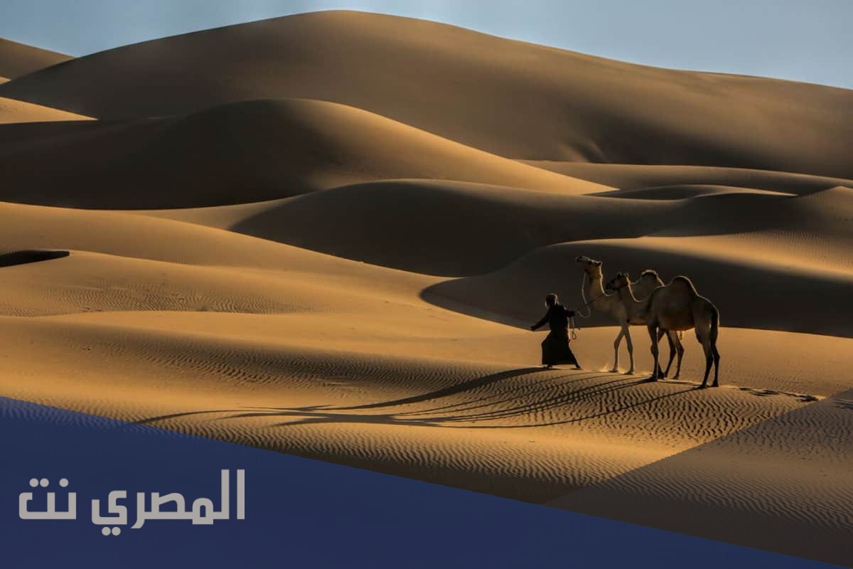 الديحاني وش يرجع