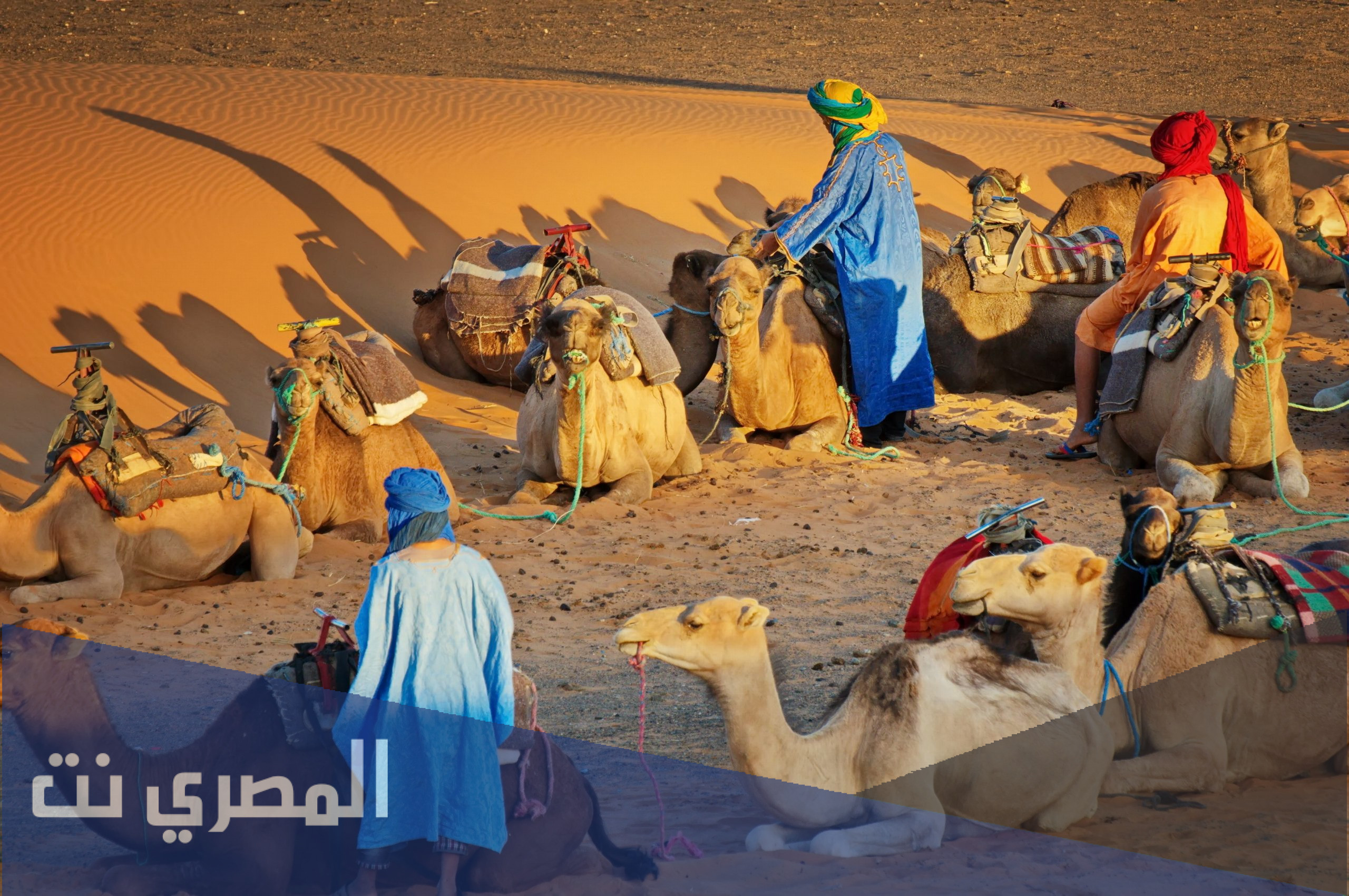 السالمي وش يرجع