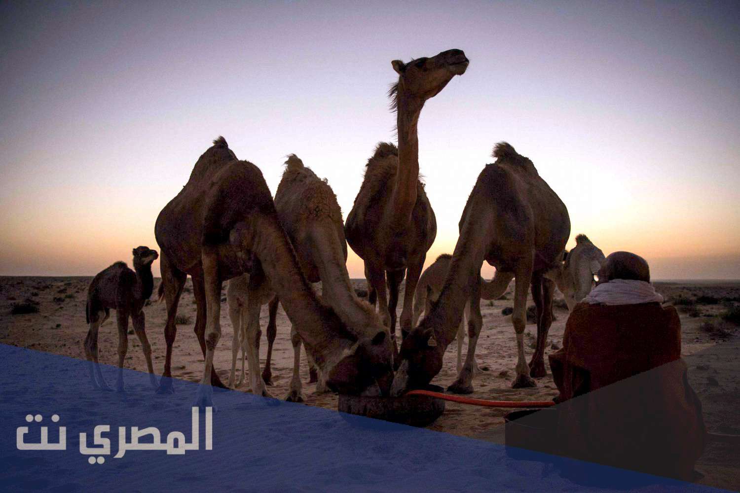 الفدعاني من وين