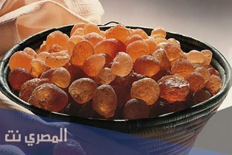 اول دول العالم انتاجا للصمغ