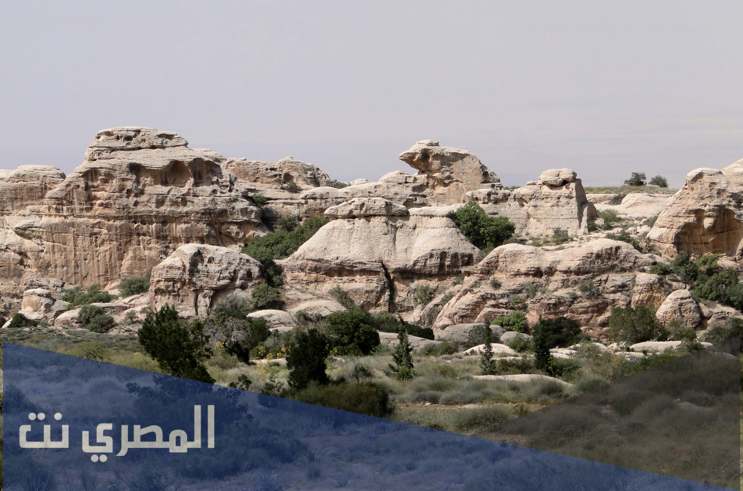 اين تقع محافظة الطفيلة