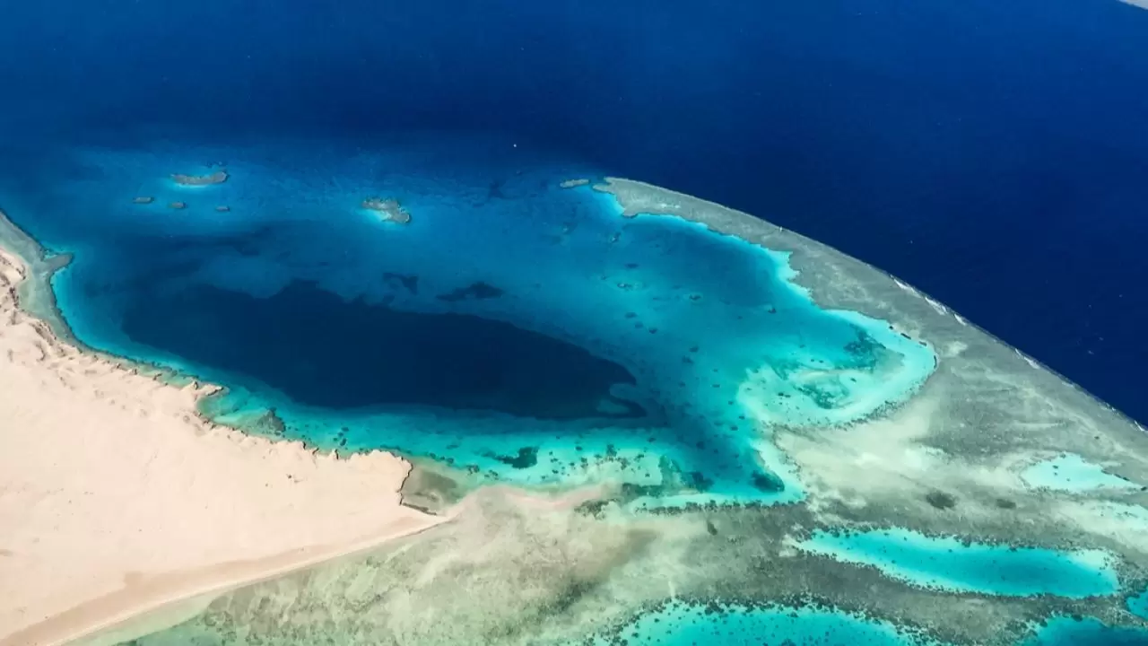 اكبر الاوديه التي تصب في البحر الاحمر