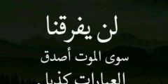 بوستات عن الحب والفراق 2025