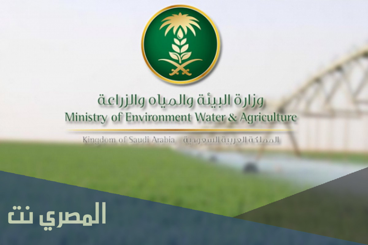 تجربتي في استخراج سجل زراعي