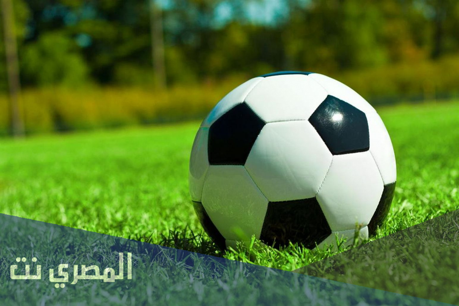 تحميل لعبة vive le football