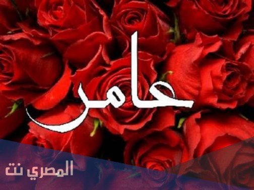 تعرف على معنى اسم عامر